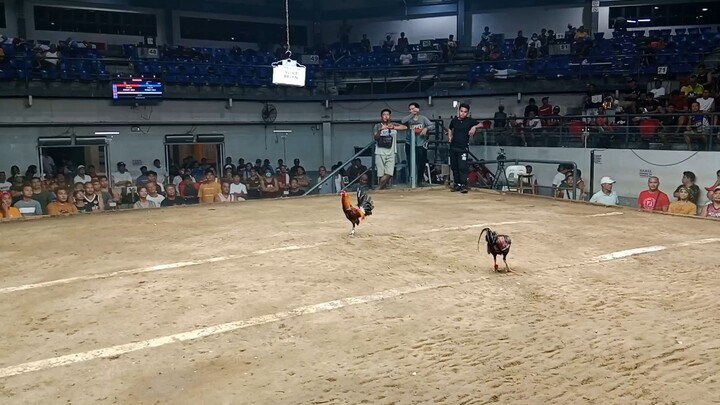 2hits first fight win
