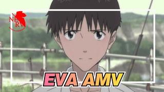 [EVA AMV] Completion Commemoration