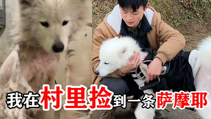 Seorang mantan bangsawan datang ke desa saya dalam kesulitan. Saya merasa kasihan padanya dan...