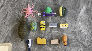 There are many little animals in the Radish Family. Come and see them.