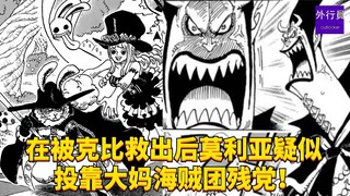 在被克比救出后莫利亚疑似投靠大妈海贼团残党？#1953