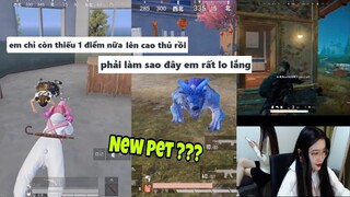 【Vietsub】Khi 2 con &quot;BOT&quot; leo rank cùng nhau🤣😂 | Macabaka và Giá Đỗ | PUBG China funny #118