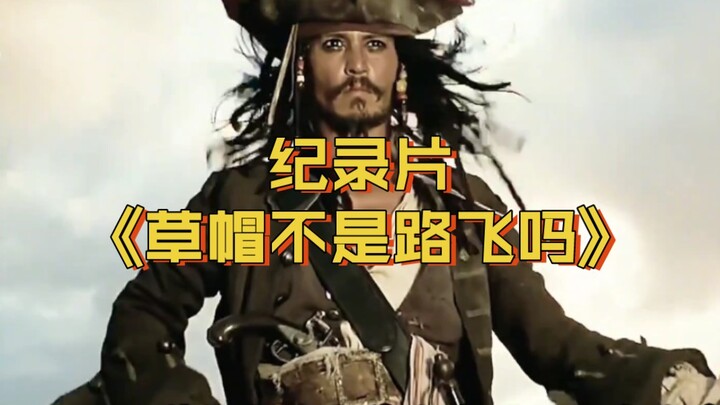 大型纪录片《草帽不是路飞吗》持续为您放映！
