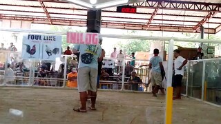 talisay kong payat unang panalo