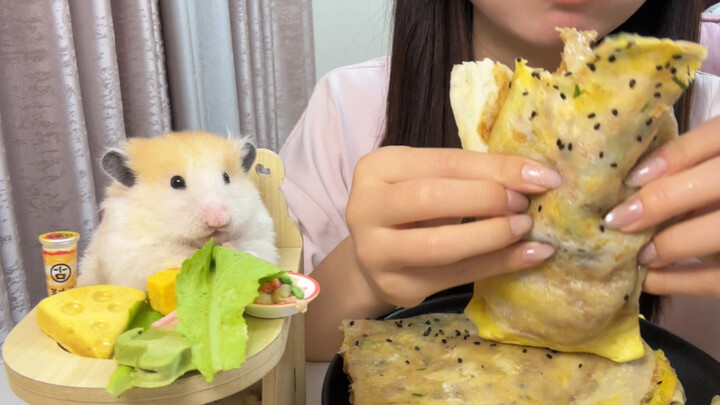 Master Mouse, will you be back for dinner tonight?