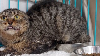 มันไม่มีประโยชน์! ฉันจะพบคุณทุกที่ที่คุณซ่อน ~