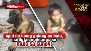 Bata, nailigtas ng isang aso mula sa sunog | Kapuso Mo, Jessica Soho