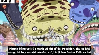 7 Nhân Vật Có Khả Năng Đánh Bại Kaido p5