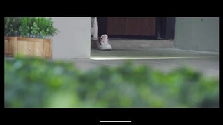 falling into your smile tagalog episode 1 part 1