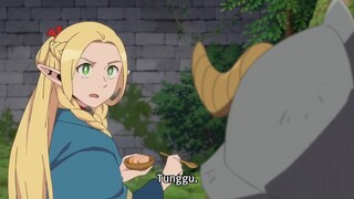 Elf Ini Dihujat Karena Sampul Animenya sendiri karena  Biasa Aja 🤣🤣