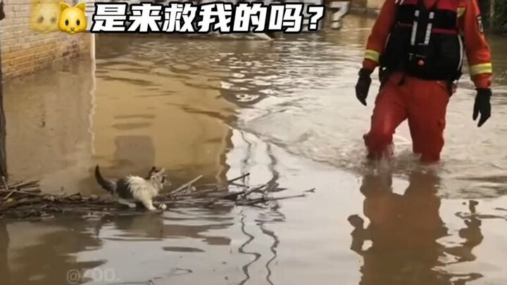 《洪水无情人有情》