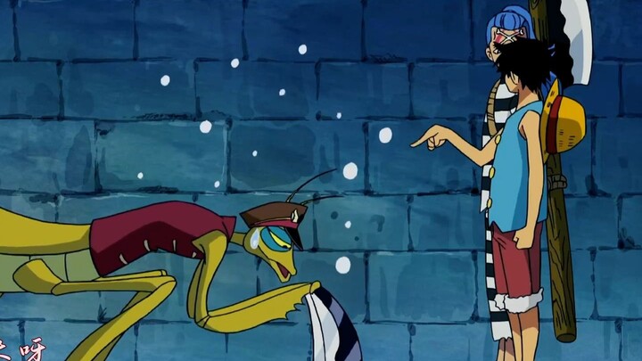 Cuộc sống thường ngày vui vẻ của Luffy và Buggy, hai kẻ hài hước gặp nhau rồi!