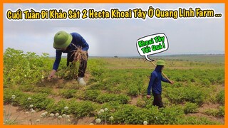 Chia Sẻ Dự Án Lớn Sắp Tới - Cuối Tuần Đi Khảo Sát 2 Hecta Khoai Tây Tại Quang Linh Farm