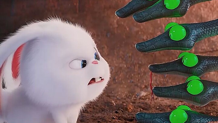 หมาเลี้ยงบังเอิญหลุดเข้าไปในองค์กรของเจ้ากระต่าย แล้วดันไปย่างงูพิษซะได้!