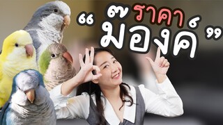 ม๊องราคาเท่าไหร่? 7 สีที่นิยม EP.259