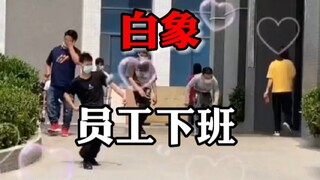 Baixiang's employer is definitely a private enterprise, there is absolutely no joint venture, believ