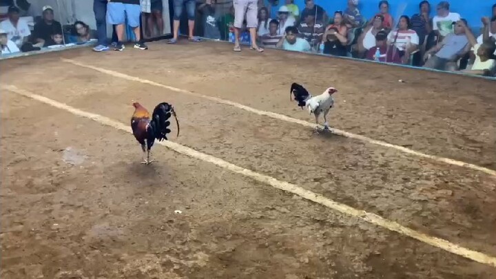 Jilljhames boston 1xwin @ Sagay Camiguin