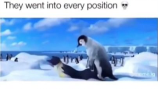 Every Position