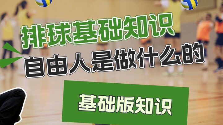 排球基础知识之——自由人到底是做什么的