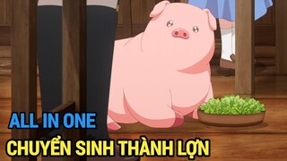 ALL IN ONE | Chuyển Sinh Thành Lợn Tại Dị Giới | Review Anime Hay