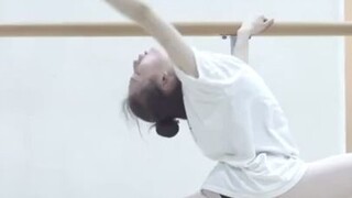 Dance Students' Daily Training Routine