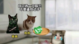 "Years of Staying" Episodes 1-3 Full Version | #CatMemeMiniDrama# Super Hilarious Novel #Recommended