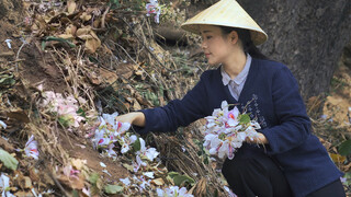 หมัก-เก็บรสชาติที่ที่สุดของฤดูใบไม้ผลิไว้