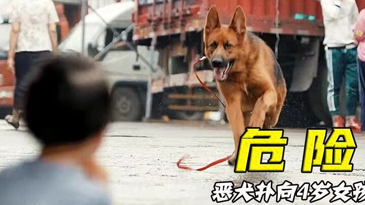 كلب وحشي يجن جنونه ويعض الفتاة بشراسة، وكلب مشرد يقاتل بضراوة لإنقاذها لكن والدها كاد أن يقتله.. أيّ