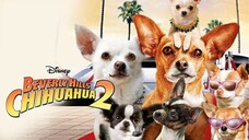 Watch movie Beverly Hills Chihuahua 2 2011 - trailer] the link in the description: