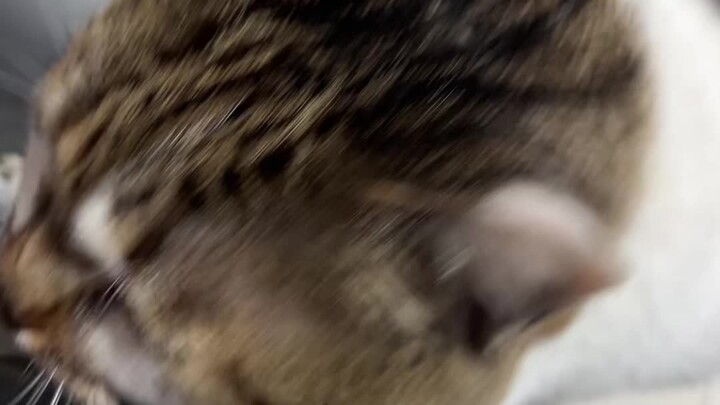 น่ารักจังเลย