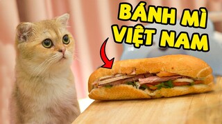 Liệu các bé mèo có thích ăn Bánh Mì Việt Nam? | The Happy Pets #41