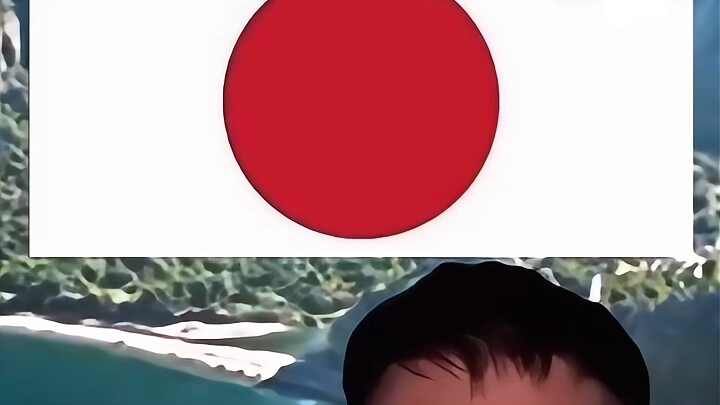 The Japanese flag is actually a pie chart.