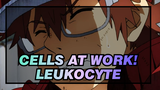 [Cells at Work!]Leukocyte Mixed Edit