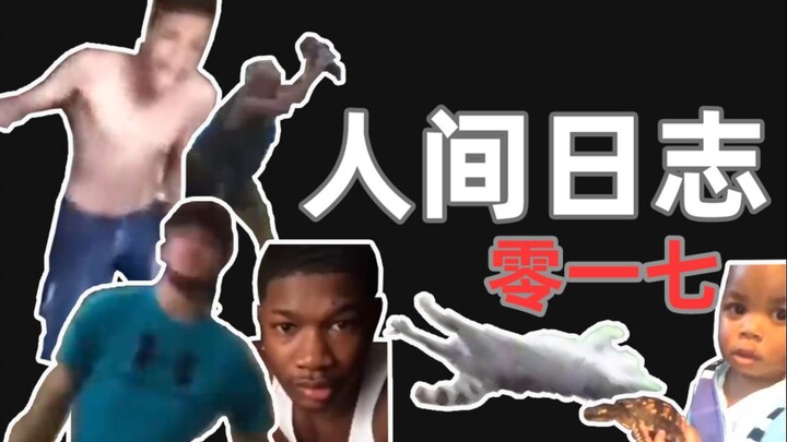 Human Observation Log 017