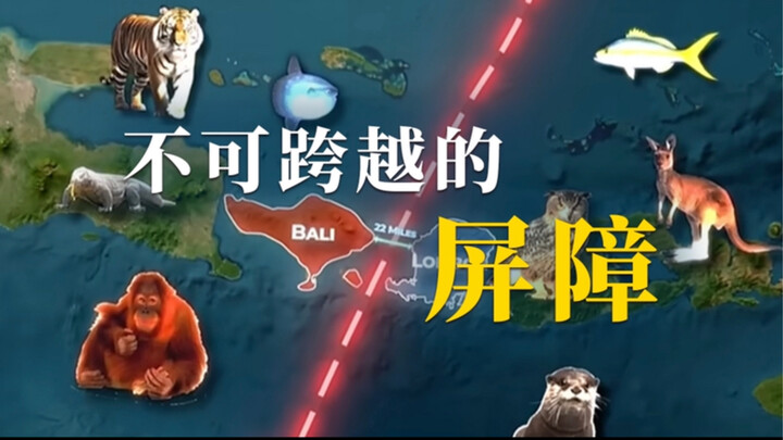 อยู่ใกล้แค่เอื้อม แต่เป็นเส้นแบ่งชีวิตที่ไม่อาจข้ามผ่านได้