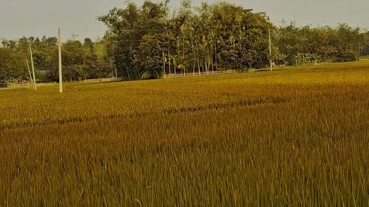 Khoon kehtahe jo waqt bohot gujar jarahe