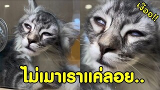 ไม่ได้เมา เราแค่ลอยนุ๊ด !! [ พากย์นรก ]​