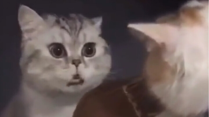 You can’t pull off this sound without ten years of cerebral palsy.