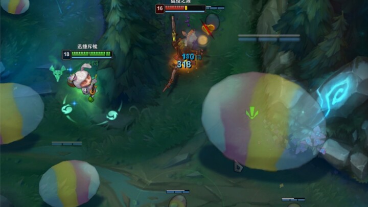 หนูบุกเข้าไปในป่าไข่มหัศจรรย์ของทิโม ถ้าเข้ามาแล้วอย่าหวังว่าจะหนีออกไปได้