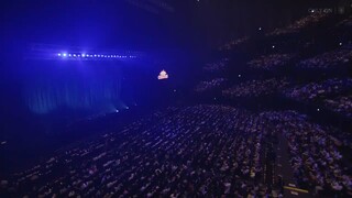 Novelbright CIRCUS 2024