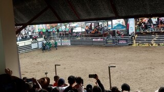 Rodeo2023