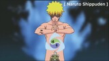 Naruto Shippuden : กฎธรรมชาติของวิชาเซียนกบ