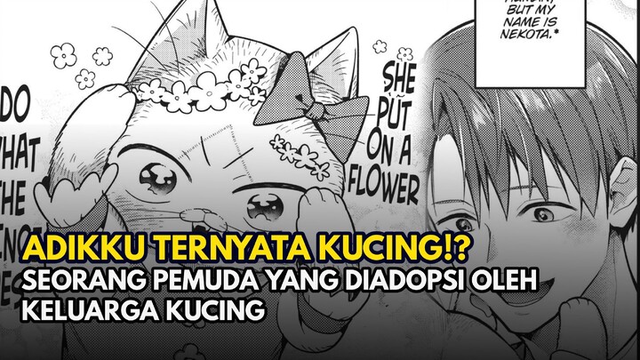 Adikku Ternyata Seekor Kucing!?