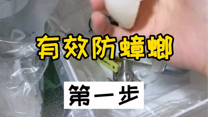 蟑螂都是怎么进你家的？3步有效防蟑螂，搬新家了就这么干