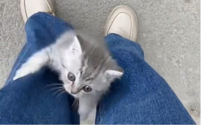 “It just had to be picked up by me and brought home.”