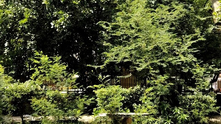 A Peaceful Day at the Park 🌳✨ | Beautiful Park Vlog | Nature & Relaxing Moments