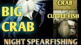 Spear fishing big blue crab and cuttle fish / vlog 5