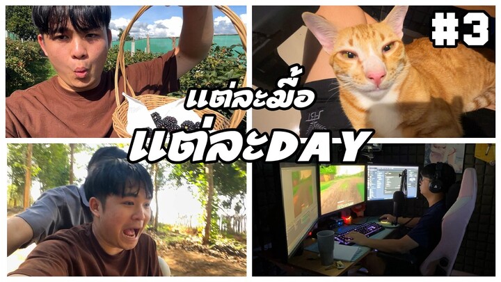 แต่ละมื้อ แต่ละDAY ของ easy boy EP.4