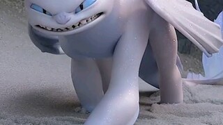 无牙仔沙雕的寻爱之路