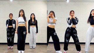 【MTY短视频】MAMAMOO  - 'ILLELLA’  【舞蹈挑战】